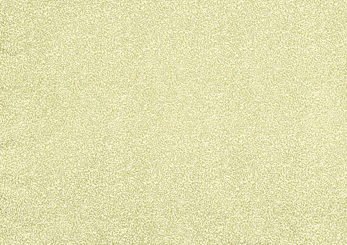Rosecliff, Olive - Fabric Only - Image 3